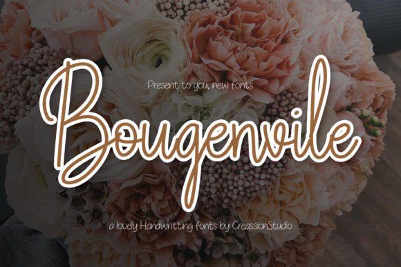 Bougenvile: A Script Typeface for Editorial Design and Branding