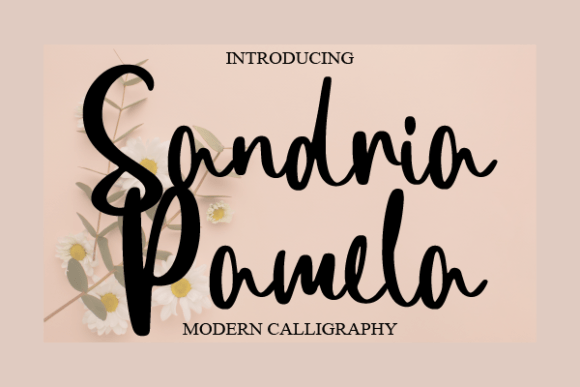 Sandria Pamela: A Script Font with Editorial Grace
