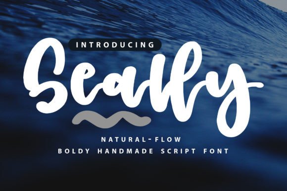 Seally: The Bold Handwritten Font That Gave My Campaign a Clearer Voice