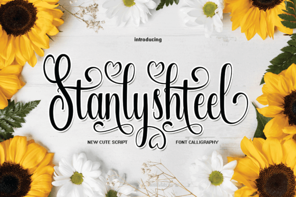 Why Stanlyshteel Script Font Deserves a Place in Your Editorial Toolkit